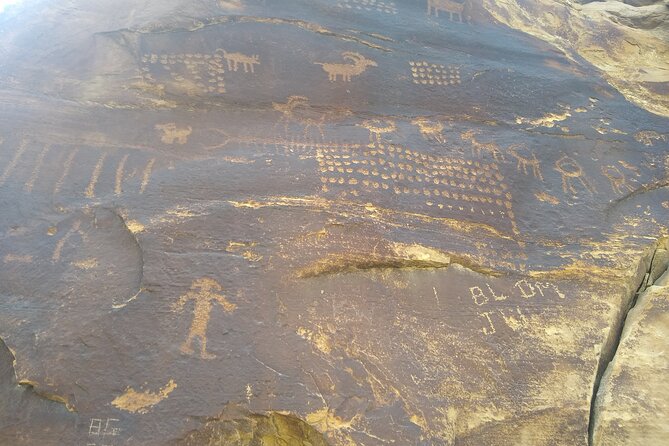 2 hour Moab Ebike Petroglyph Tour - Moonflower Canyon and the Birthing Scene: what you’ll see