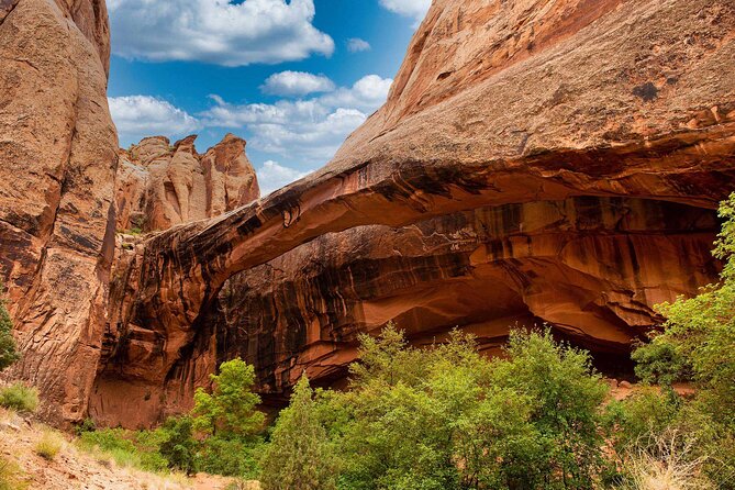 Canyoneering Morning Glory Arch - Fitness Level: Moderate Doesn’t Mean Risk-Free