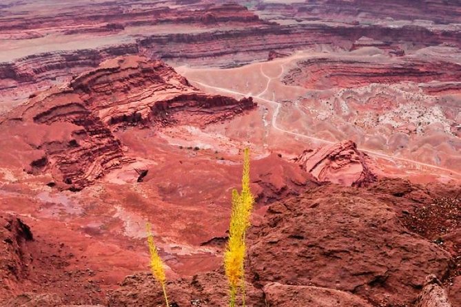 Canyonlands National Park Backcountry 4x4 Adventure from Moab - Moab meet-up to the Island in the Sky start point