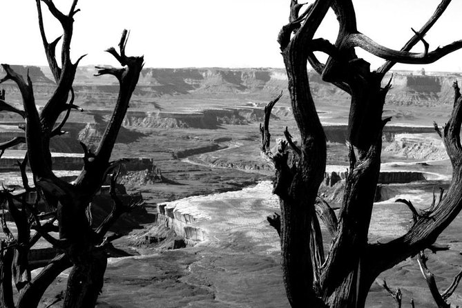 Canyonlands National Park Half-Day Tour from Moab - Island in the Sky and White Rim views: panoramic, but with real depth