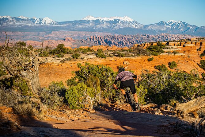 Exclusive Intermediate Advanced Private Guided Mountainbike Tour - Skill session time: practice what you want to get better at