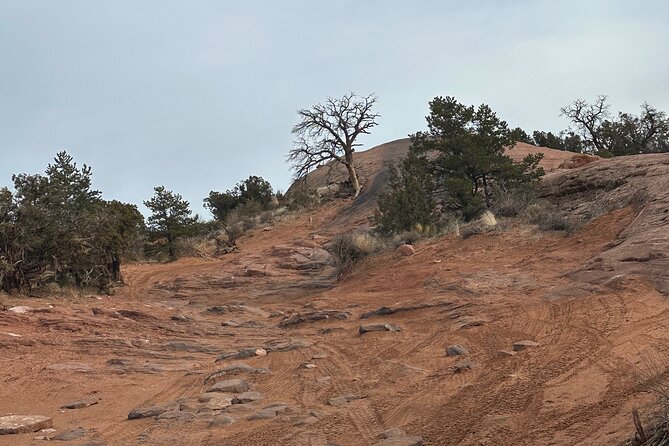 Fins and Things 4x4 tour - Moab Route Sights: Forming Arch, Dinosaur Footprints, and More