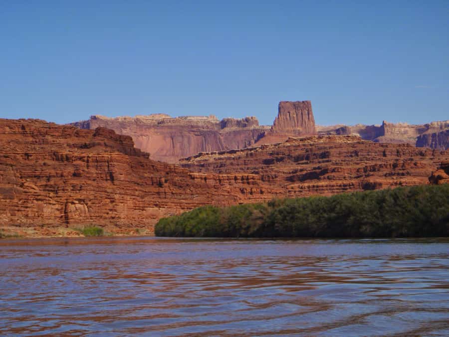 From Moab: Canyonlands 4x4 Drive and Calm Water Cruise - The Grotto and a petrified forest: learning that happens without effort