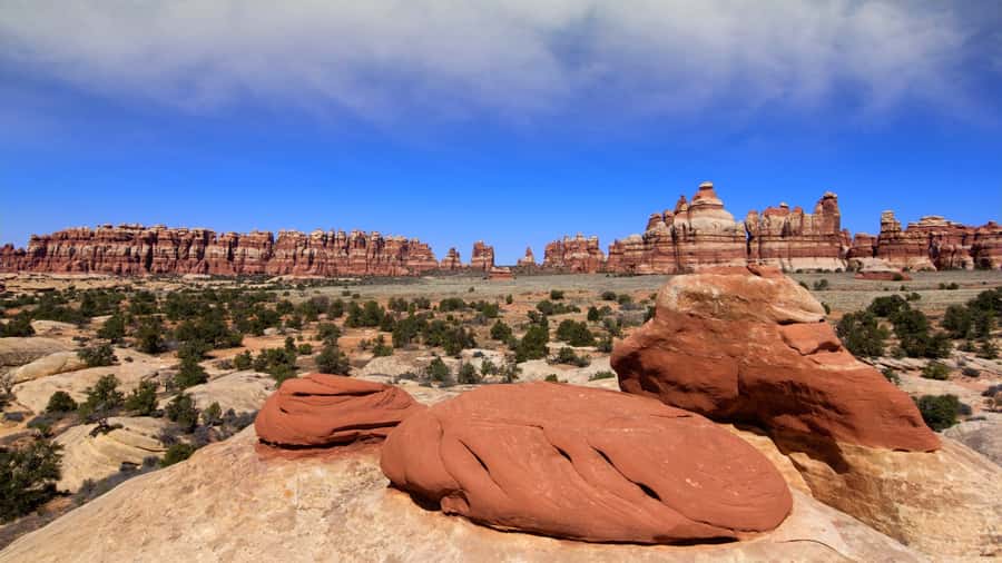 From Moab: Canyonlands Needle District 4x4 Tour - Key Highlights You’ll Care About