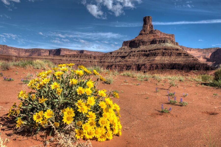 Moab: Canyonlands National Park 4x4 White Rim Tour - Who This Tour Fits Best