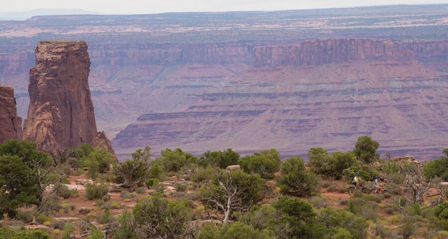 Moab: Dead Horse Point Singletrack Mountain Biking Tour - Full-day upgrade: lunch plus Twisted Tree and Prickly Pear