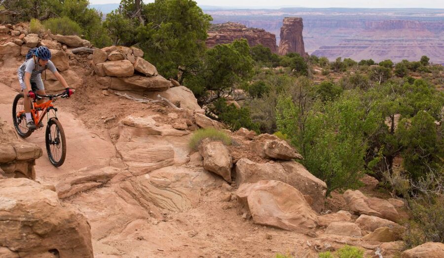 Moab: Dead Horse Point Singletrack Mountain Biking Tour - Your guide and the small-group advantage