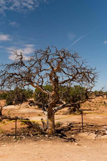 Moab Half Day Jeep Tour - Who Should Book, and Who Should Skip It