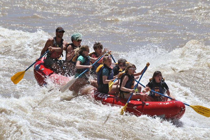 Moab Half-Day Rafting Trip - Why a guided Moab half-day is such a smart move