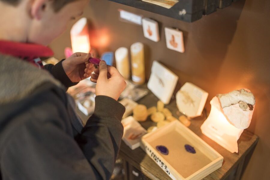 Moab: Moab Giants Dinosaur Park and Museum Entrance Ticket - Key things to know before you go