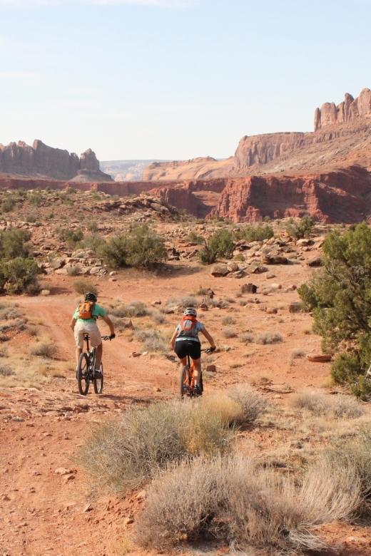 Moab: Mountain Bike Half Day Tour - Moab Slickrock + Arches views, minus the intimidation