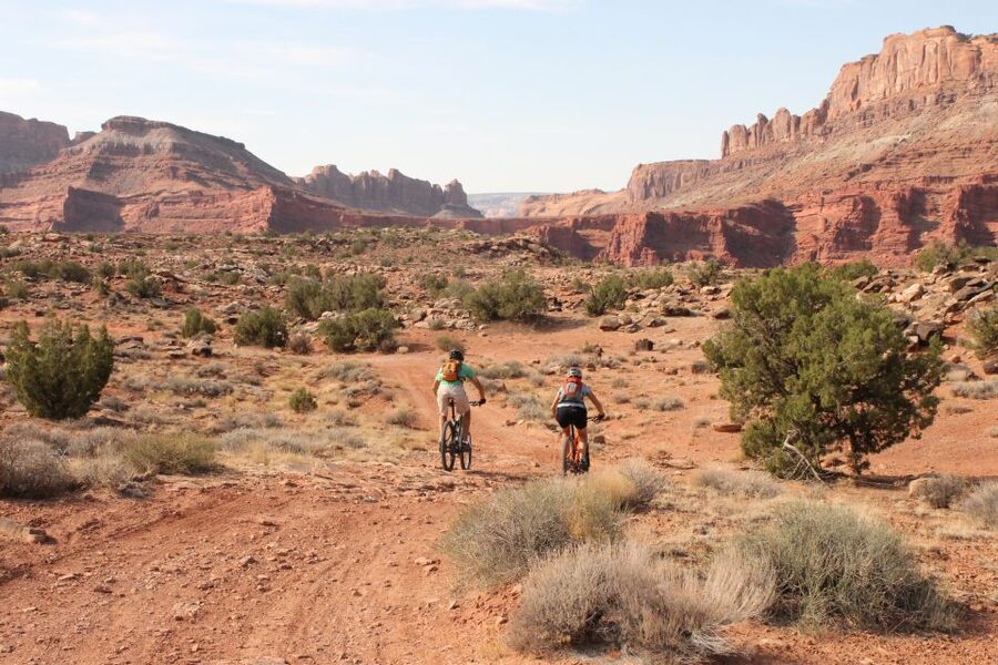 Moab: Mountain Bike Half Day Tour - Bike fit and skills practice before you commit
