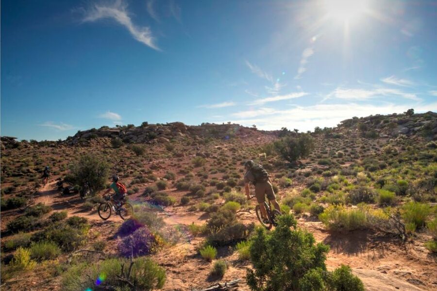Moab: Mountain Bike Half Day Tour - What the Moab terrain feels like under you