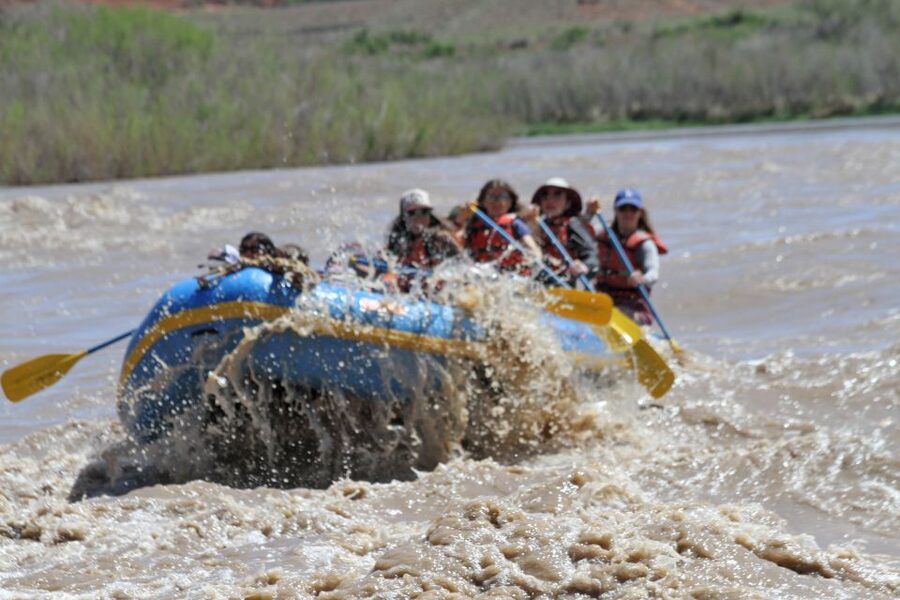 Moab: Whitewater Rafting on the Colorado River - Wildlife moments: small sightings that make the trip feel alive