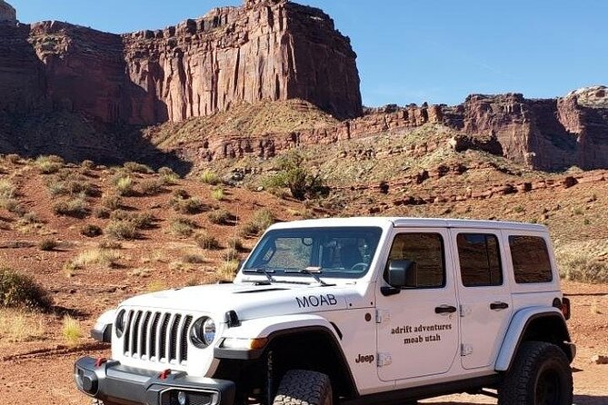 Needles Canyonlands 4X4 Jeep Tour from Moab (3 Person Minimum) - Newspaper Rock petroglyphs: a fast cultural stop with real payoff
