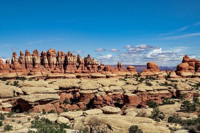 NEW! Canyonlands Needles Chesler Park Hiking Discovery Tour - The pacing: 8 hours is enough, but it means you’ll work